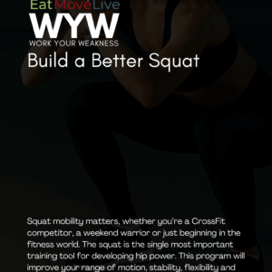 Build a Better Squat: 4-Week Mobility, Mechanics & Strength Guide (PDF Download)